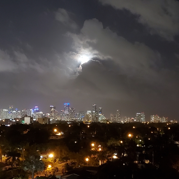 Meet your Posher, Laura - Picture 7 of 7